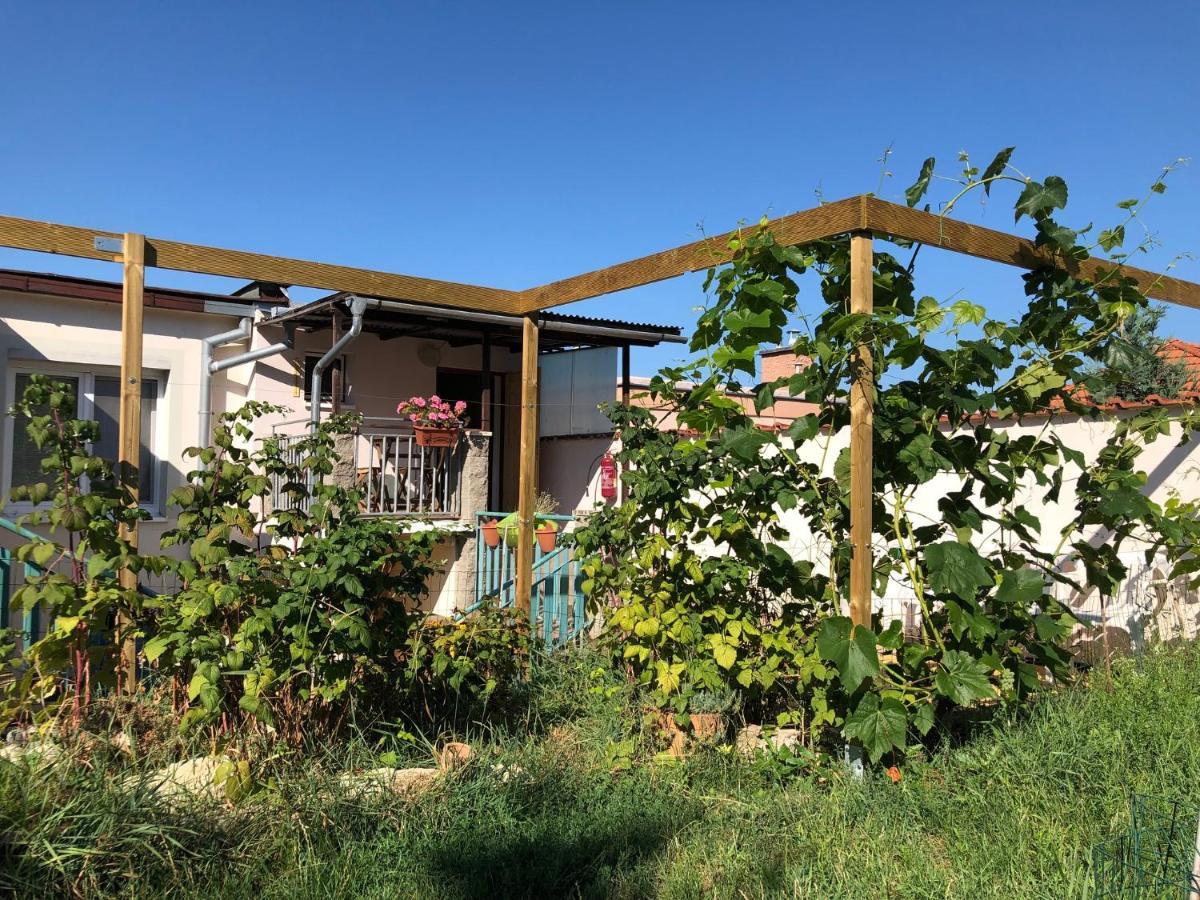 Ubytovani U Jerabku Apartment Mikulov