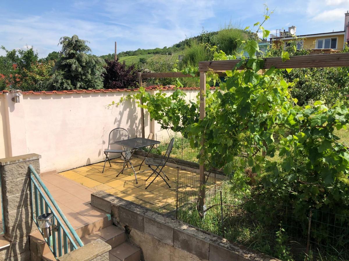 Apartment Ubytovani U Jerabku Mikulov