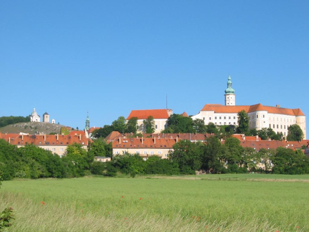 Apartment Ubytovani U Jerabku Mikulov